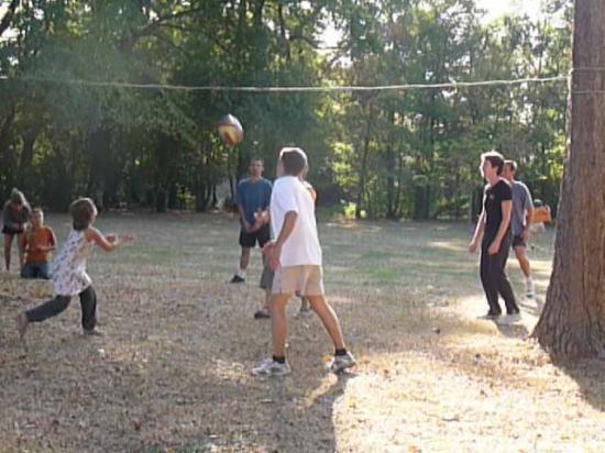 Volley