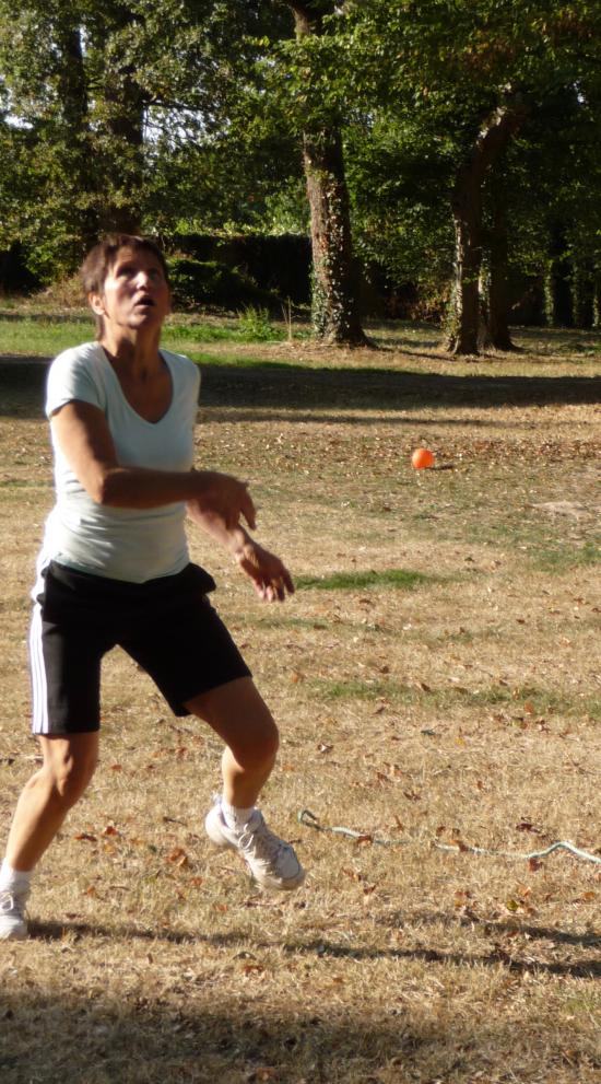 Volley